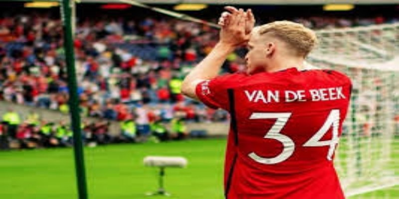 高光时刻与低谷表现- 百家乐在线