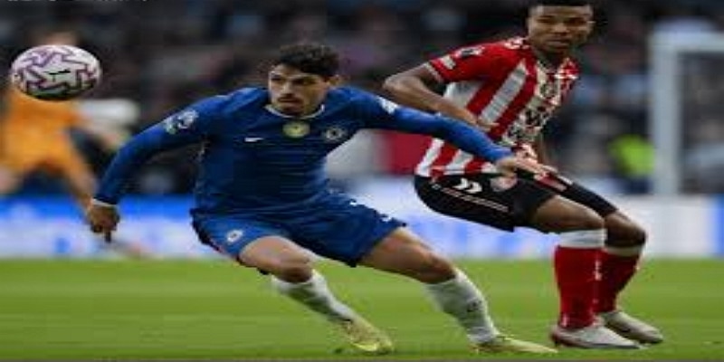 候选人矩阵与执教哲学- 百家乐在线独家视角-百家乐在线