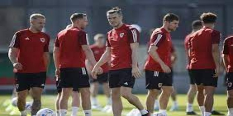 出线形势与战略考量-百家乐在线